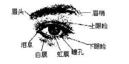 遮瞳面相|金自在相面秘訣——眼睛篇